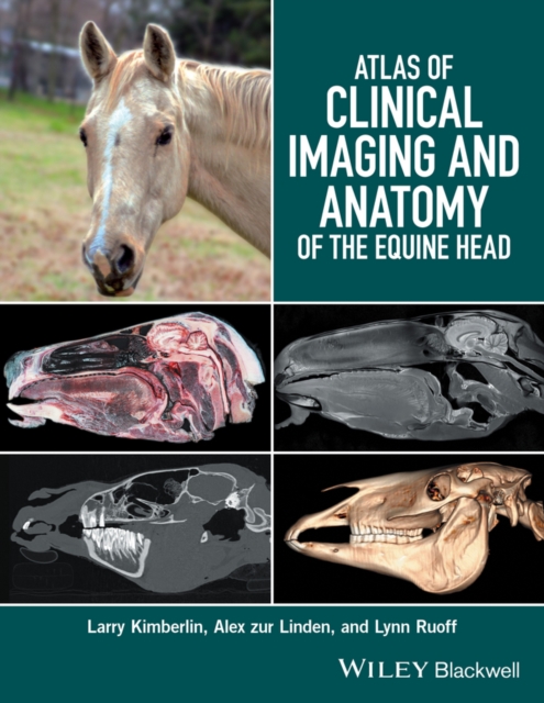 Atlas of Clinical Imaging and Anatomy of the Equine Head, Hardback Book