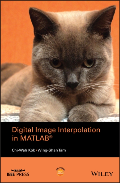 Digital Image Interpolation in Matlab, PDF eBook