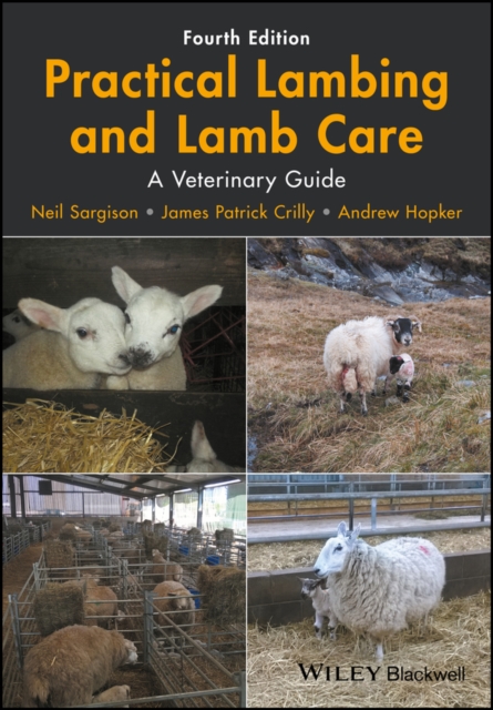 Practical Lambing and Lamb Care : A Veterinary Guide, Paperback / softback Book