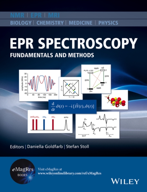 EPR Spectroscopy : Fundamentals and Methods, PDF eBook