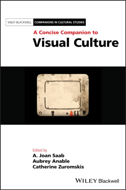 A Concise Companion to Visual Culture, Hardback Book