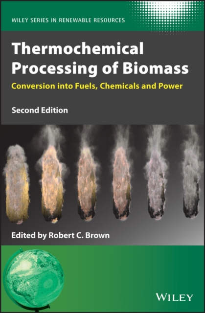 Thermochemical Processing of Biomass : Conversion into Fuels, Chemicals and Power, EPUB eBook