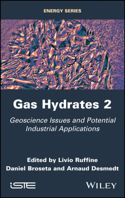 Gas Hydrates 2 : Geoscience Issues and Potential Industrial Applications, PDF eBook