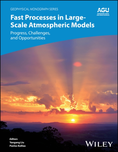 Fast Processes in Large-Scale Atmospheric Models : Progress, Challenges, and Opportunities, EPUB eBook