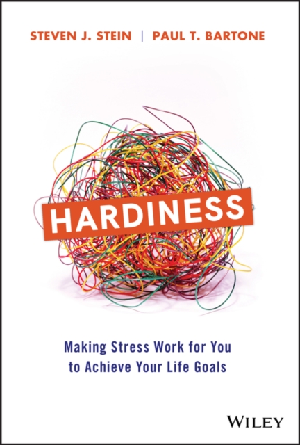 Hardiness : Making Stress Work for You to Achieve Your Life Goals, PDF eBook