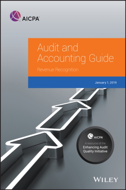 Audit and Accounting Guide : Revenue Recognition 2019, PDF eBook