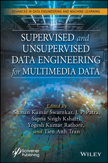 Supervised and Unsupervised Data Engineering for Multimedia Data, Hardback Book