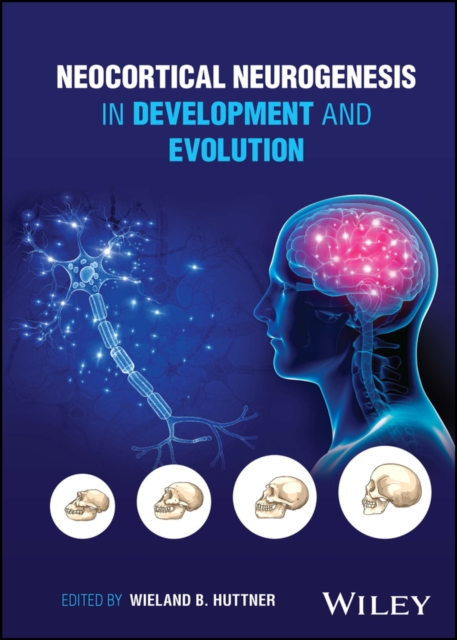 Neocortical Neurogenesis in Development and Evolution, Hardback Book