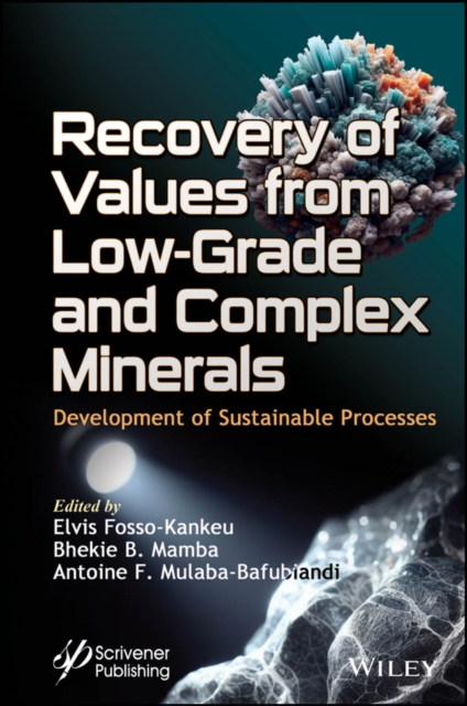 Recovery of Values from Low-Grade and Complex Minerals : Development of Sustainable Processes, Hardback Book