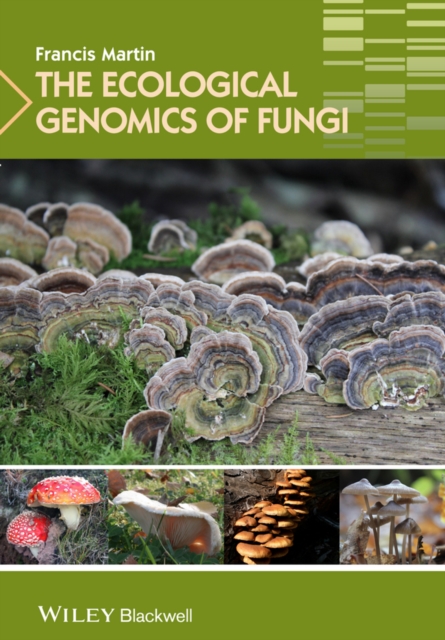 The Ecological Genomics of Fungi, Hardback Book
