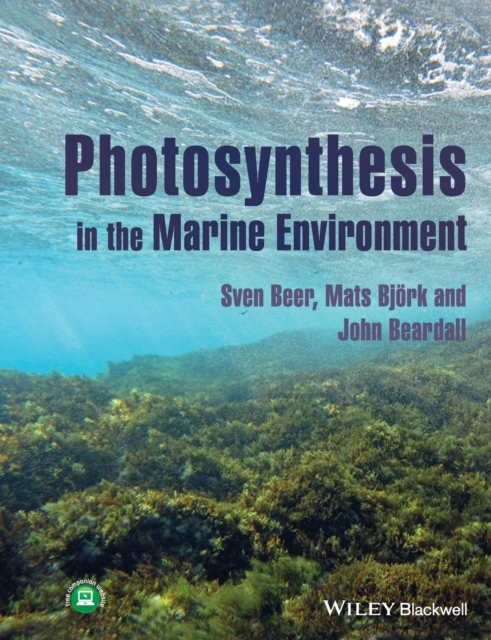 Photosynthesis in the Marine Environment, Paperback / softback Book