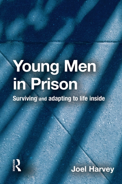 Young Men in Prison, EPUB eBook
