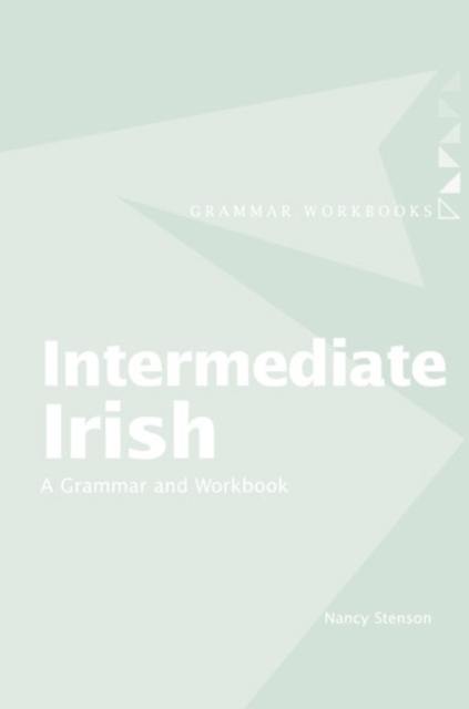 Intermediate Irish: A Grammar and Workbook, EPUB eBook