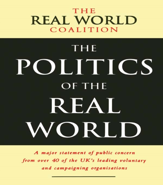 The Politics of the Real World : A Major Statement of Public Concern from over 40 of the UK's Leading Voluntary and Campaigning Organisations, PDF eBook