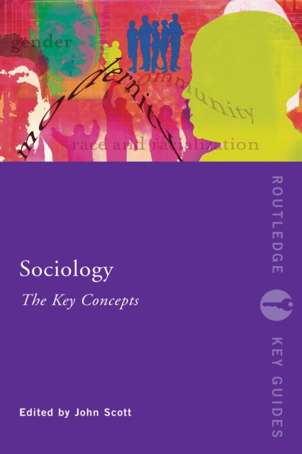 Sociology: The Key Concepts, PDF eBook