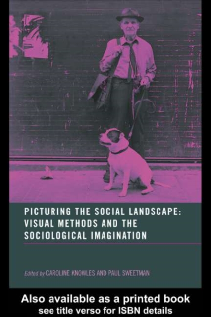 Picturing the Social Landscape : Visual Methods and the Sociological Imagination, PDF eBook