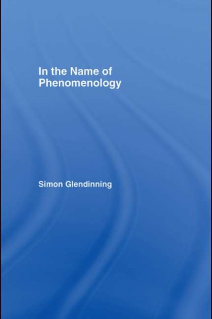 In the Name of Phenomenology, PDF eBook