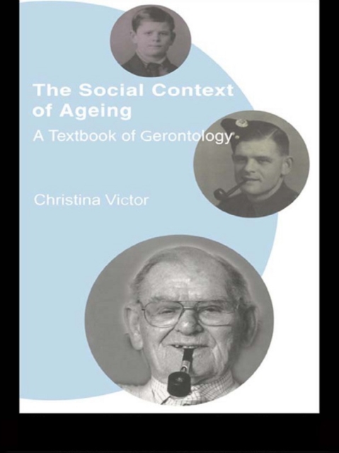 The Social Context of Ageing : A Textbook of Gerontology, EPUB eBook