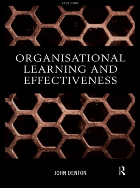Organisational Learning and Effectiveness, PDF eBook