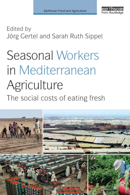 Seasonal Workers in Mediterranean Agriculture : The Social Costs of Eating Fresh, PDF eBook