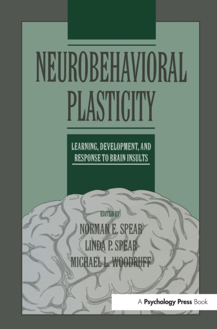 Neurobehavioral Plasticity : Learning, Development, and Response to Brain Insults, PDF eBook