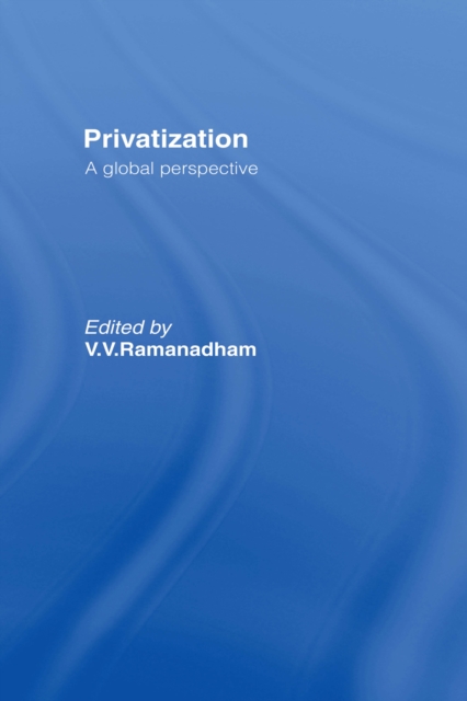 Privatisation : A Global Perspective, PDF eBook