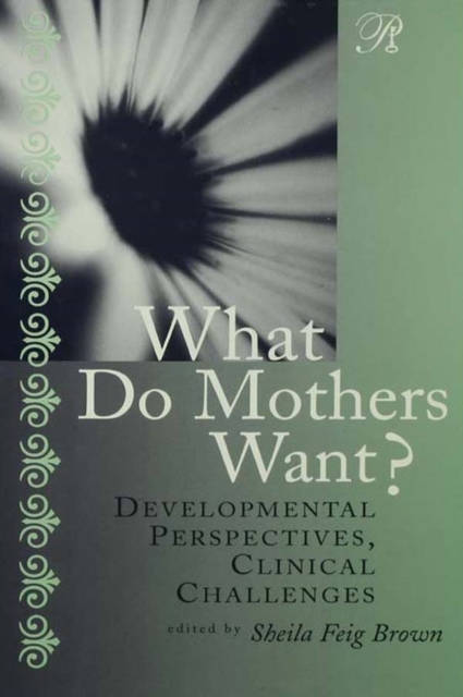 What Do Mothers Want? : Developmental Perspectives, Clinical Challenges, PDF eBook