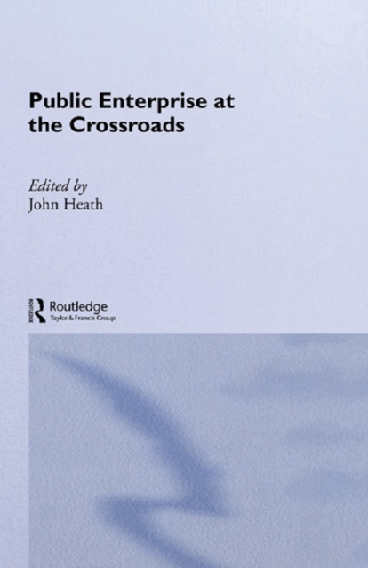 Public Enterprise at the Crossroads, EPUB eBook