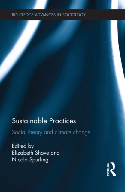 Sustainable Practices : Social Theory and Climate Change, EPUB eBook