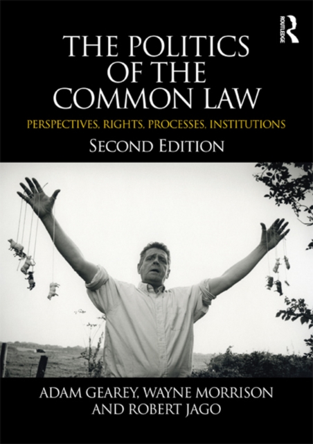 The Politics of the Common Law : Perspectives, Rights, Processes, Institutions, PDF eBook