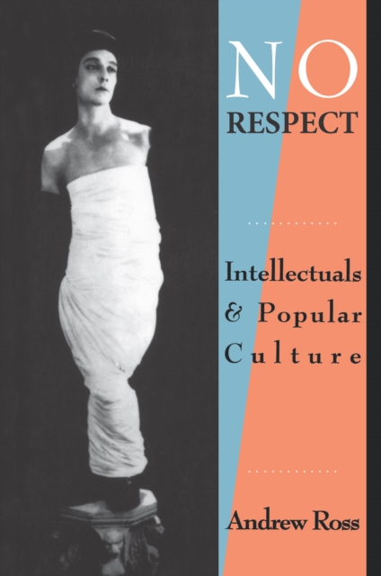 No Respect : Intellectuals and Popular Culture, EPUB eBook