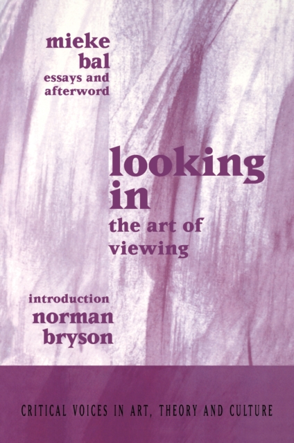 Looking In : The Art of Viewing, PDF eBook