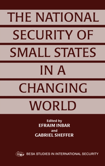 The National Security of Small States in a Changing World, EPUB eBook