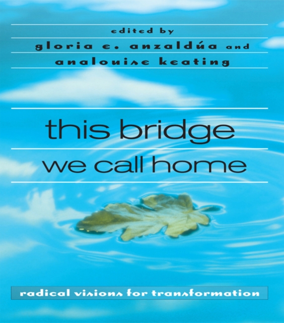 this bridge we call home : radical visions for transformation, PDF eBook