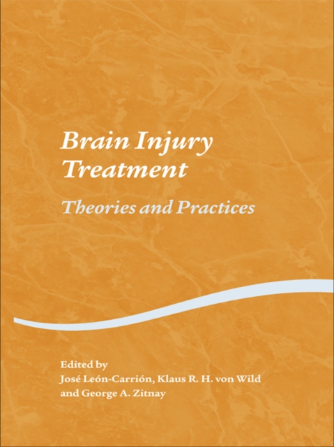 Brain Injury Treatment : Theories and Practices, EPUB eBook