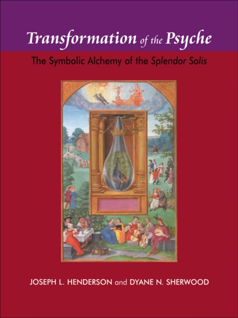 Transformation of the Psyche : The Symbolic Alchemy of the Splendor Solis, PDF eBook