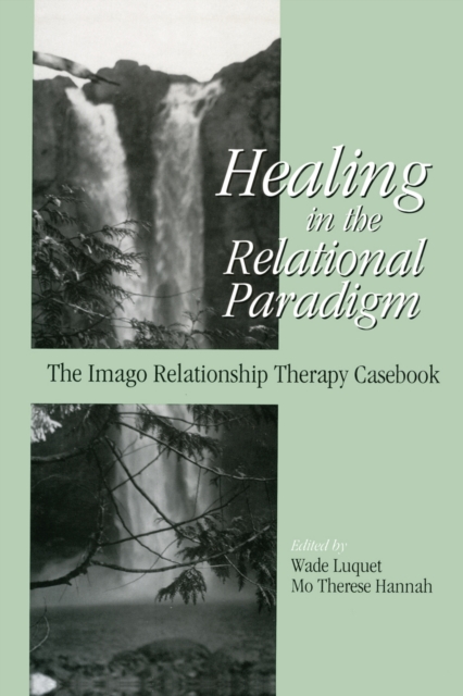 Healing in the Relational Paradigm : The Imago Relationship Therapy Casebook, EPUB eBook