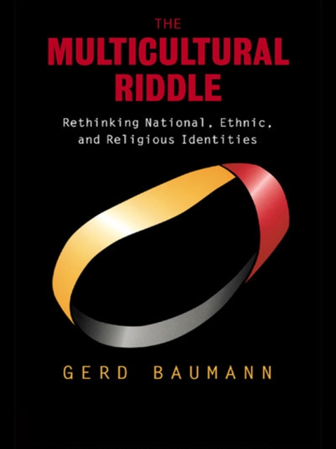 The Multicultural Riddle : Rethinking National, Ethnic and Religious Identities, EPUB eBook