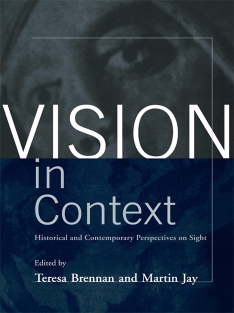 Vision in Context : Historical and Contemporary Perspectives on Sight, EPUB eBook