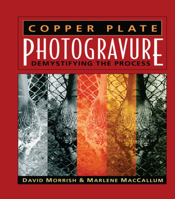Copper Plate Photogravure : Demystifying the Process, PDF eBook