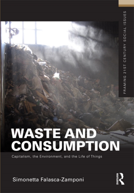 Waste and Consumption : Capitalism, the Environment, and the Life of Things, EPUB eBook