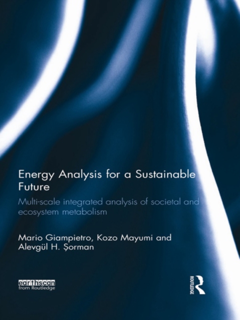 Energy Analysis for a Sustainable Future : Multi-Scale Integrated Analysis of Societal and Ecosystem Metabolism, PDF eBook