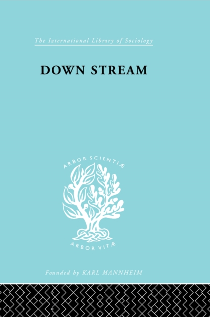 Down Stream : Failure in the Grammar School, PDF eBook