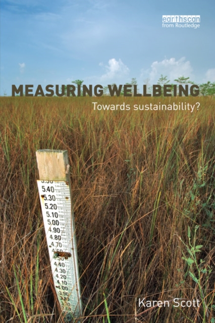 Measuring Wellbeing: Towards Sustainability?, PDF eBook