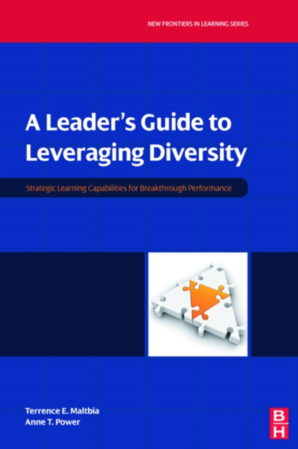 A Leader's Guide to Leveraging Diversity, PDF eBook