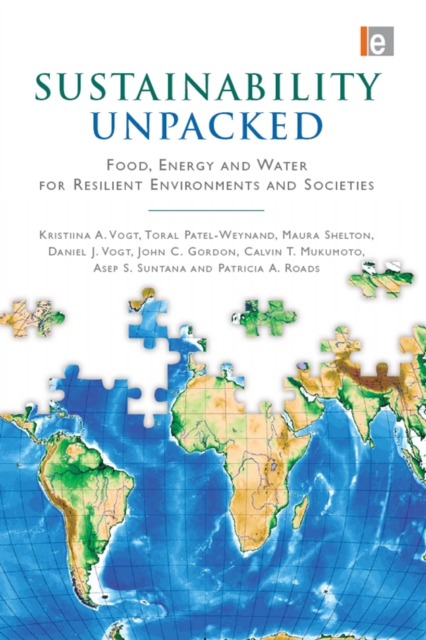 Sustainability Unpacked : Food, Energy and Water for Resilient Environments and Societies, PDF eBook