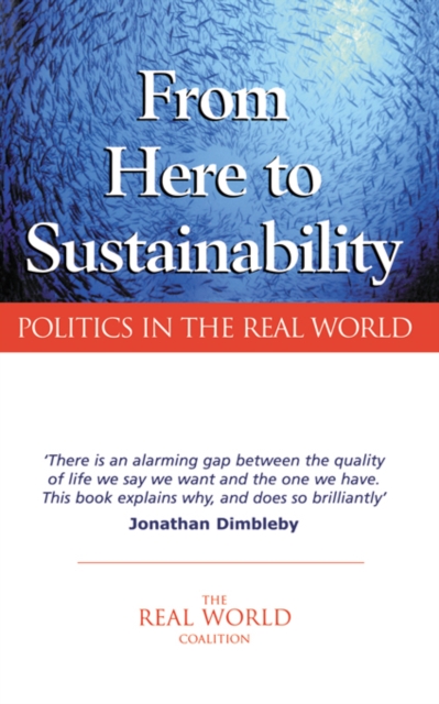 From Here to Sustainability : Politics in the Real World, EPUB eBook