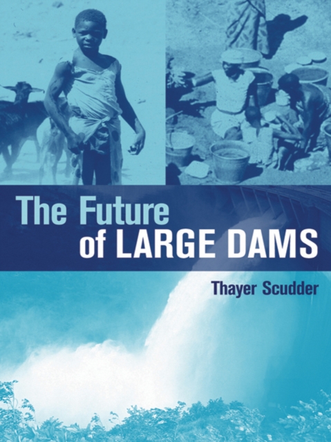 The Future of Large Dams : Dealing with Social, Environmental, Institutional and Political Costs, PDF eBook