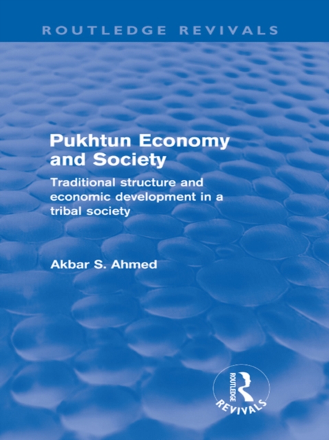 Pukhtun Economy and Society (Routledge Revivals) : Traditional Structure and Economic Development in a Tribal Society, PDF eBook