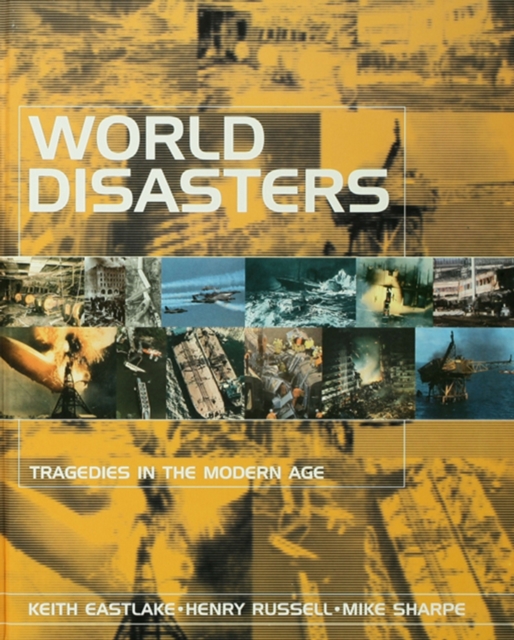 World Disasters : Tragedies in the Modern Age, PDF eBook